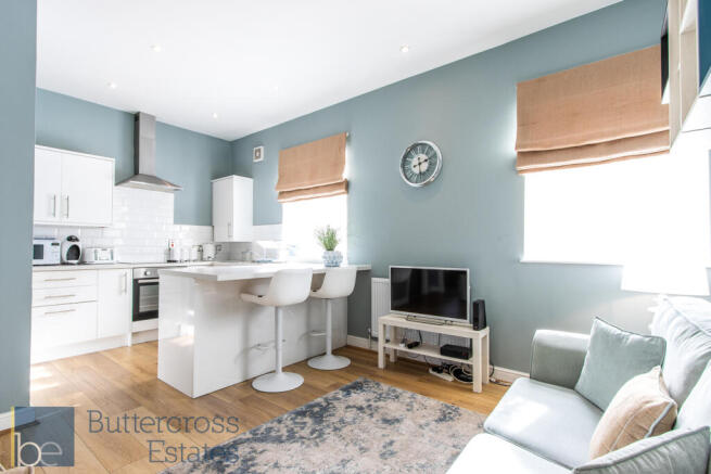 Living Room and Kitchen