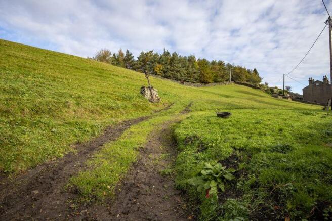 Field