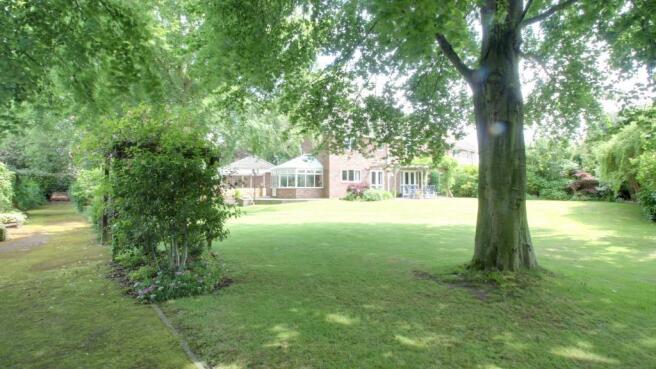 Garden at Back