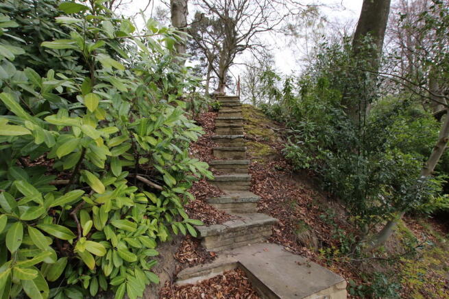 Steps to Woods