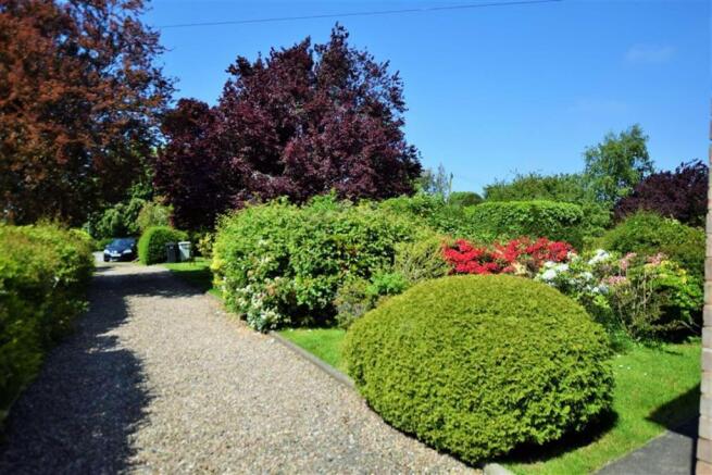 FRONT GARDEN