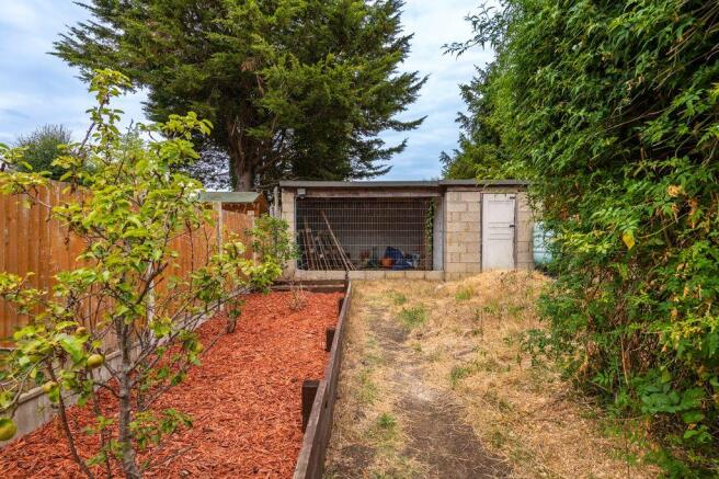 Garden at Back
