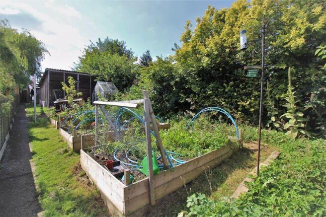 Vegetable Garden