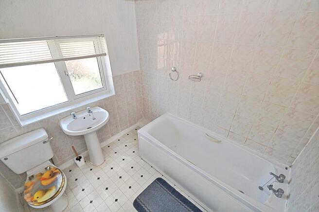 IMAGE 7