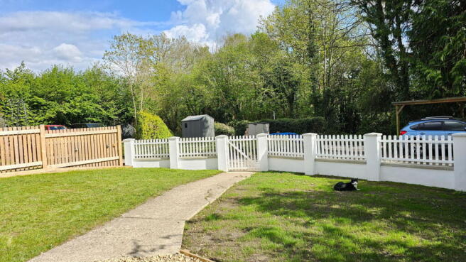Photo 11