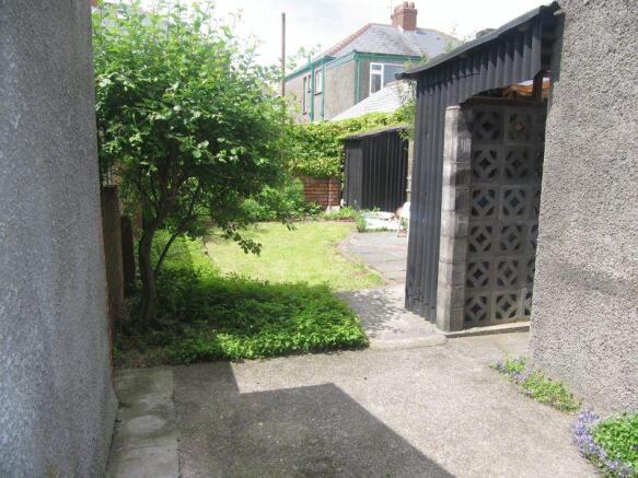 Photo 11