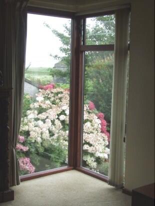 Lounge Window