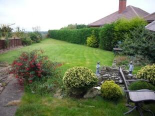Garden 2