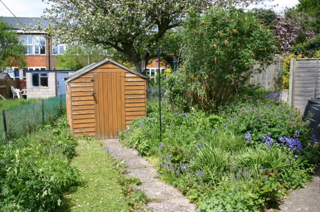 Photo 5