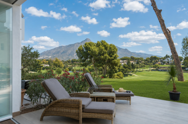 TERRACE VIEWS