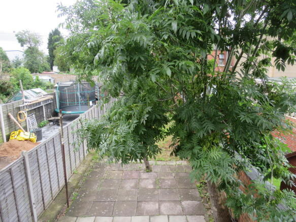 Photo 15