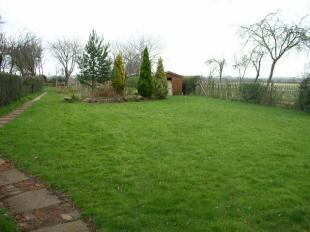 Top garden