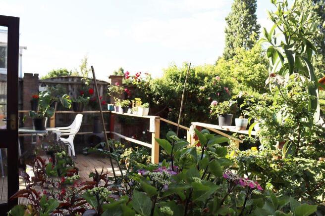 Garden at Back