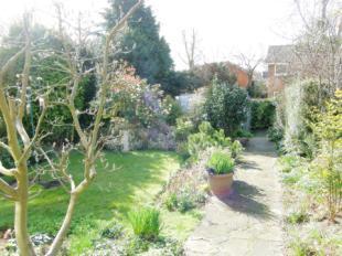 GARDEN 2