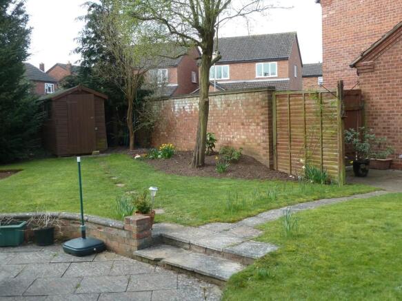 Photo 11