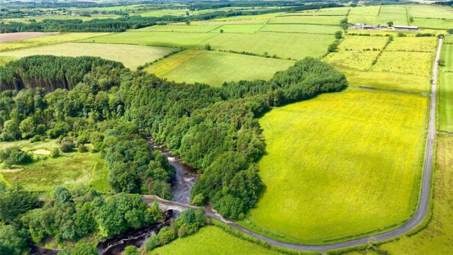 Woodland and River