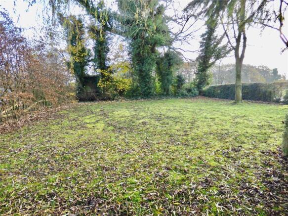 Front Garden Plot