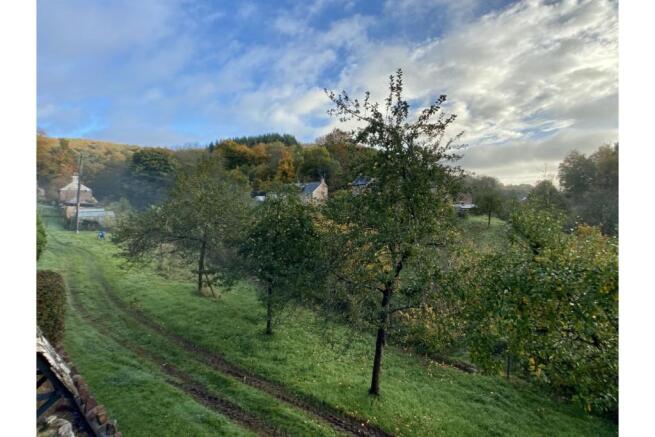 Orchard