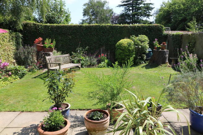 Photo 15