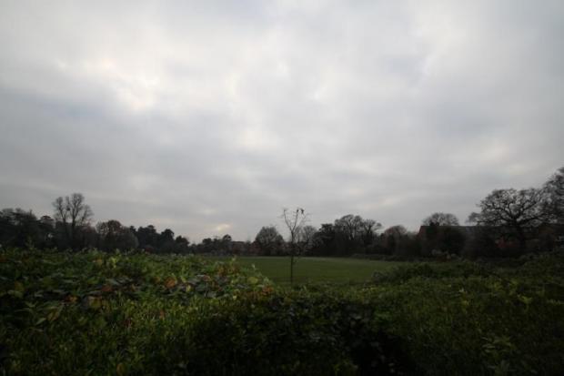 Views Over Park