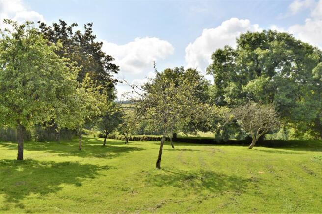 Rear Garden.JPG
