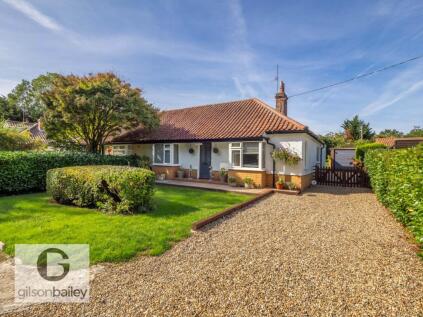Lower Globe Lane, Blofield