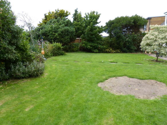 Photo 13