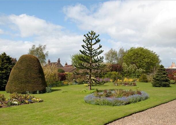 Almost 1 Acre