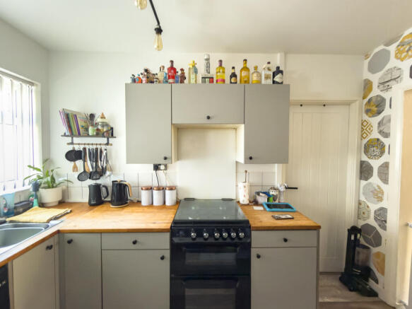 IMG 3637 T202603061736.jpg