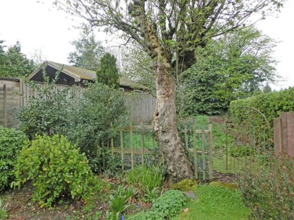 Baccabox Lane 31 garden 2.jpg