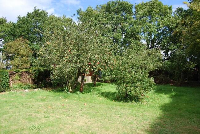 Photo 11