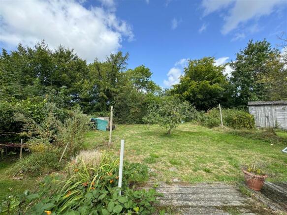 garden 3.JPEG