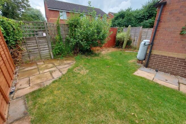 Garden (2) 