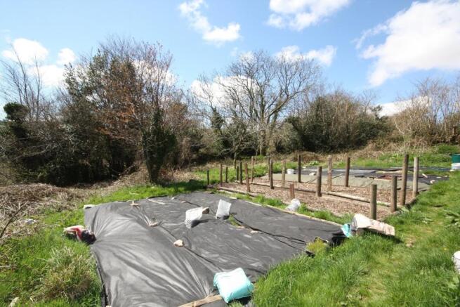 Veg Patch 