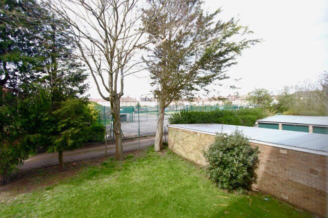 Garden at Back