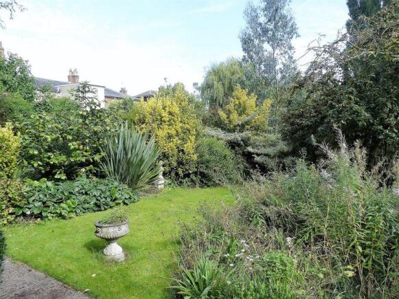 Lawn area