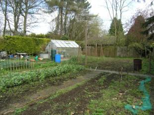 Vegetable Garden
