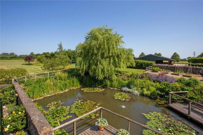 View Over Pond