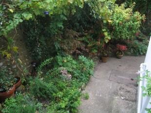 Rear Garden (2)