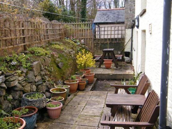 Rear Courtyard