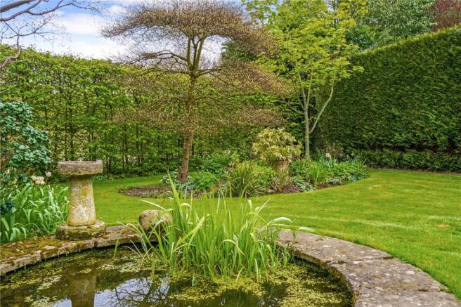 Pond