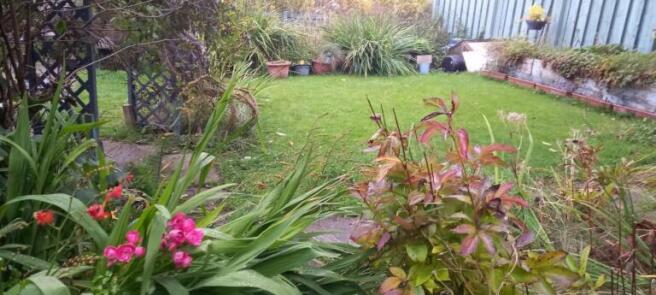 Photo 25