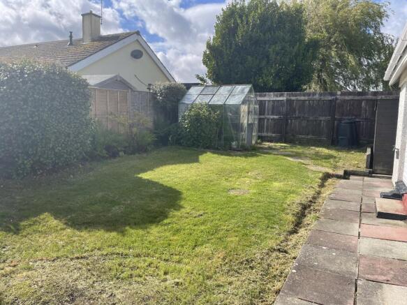 Back garden