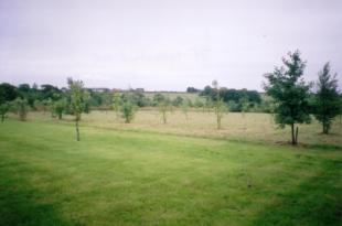 grounds