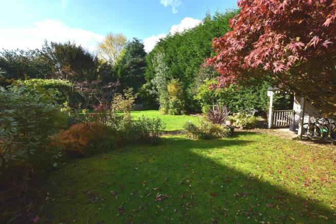 Garden 3