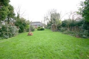 Garden Photo 3