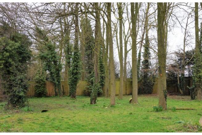 Woodland