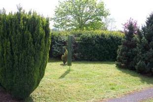 Garden Photo 1