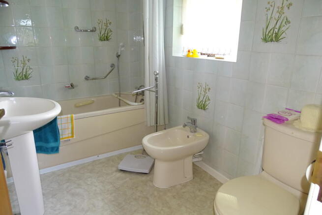 Photo 5