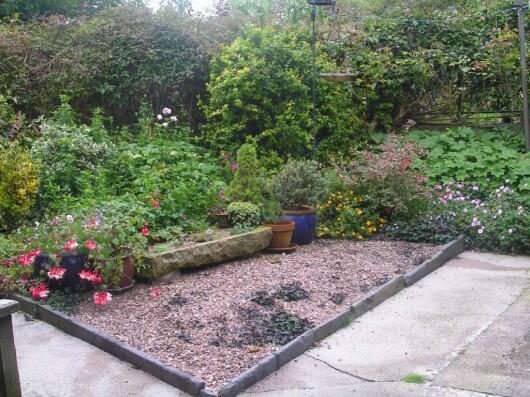 Photo 6